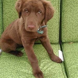 Meet your Posher, Kylah